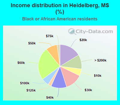 Income distribution in Heidelberg, MS (%)
