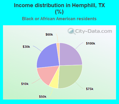 Income distribution in Hemphill, TX (%)