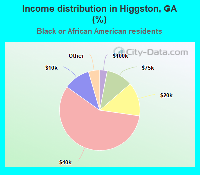 Income distribution in Higgston, GA (%)
