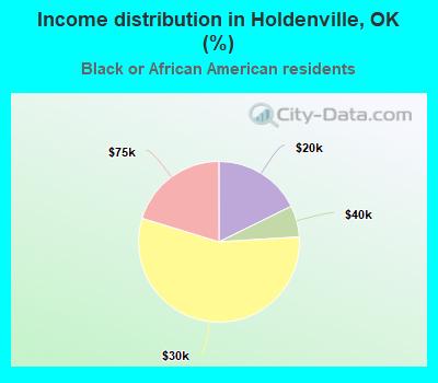 Income distribution in Holdenville, OK (%)