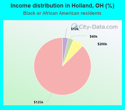 Income distribution in Holland, OH (%)