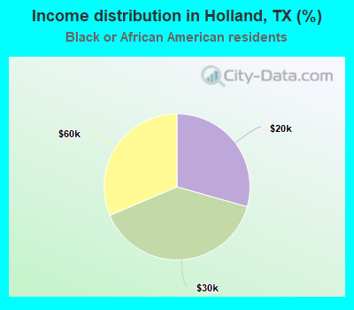 Income distribution in Holland, TX (%)