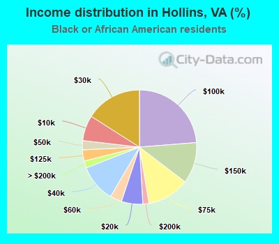 Income distribution in Hollins, VA (%)