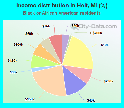 Income distribution in Holt, MI (%)