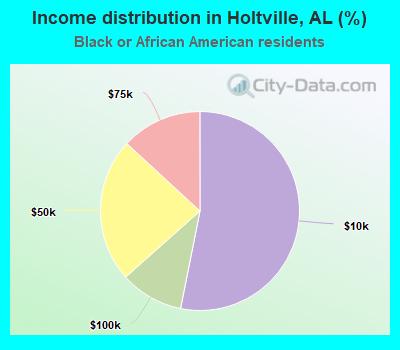 Income distribution in Holtville, AL (%)