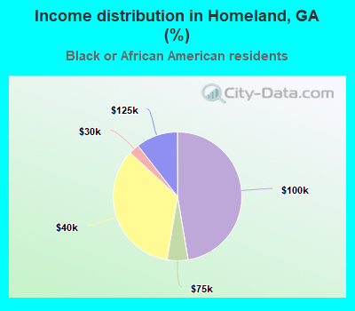 Income distribution in Homeland, GA (%)