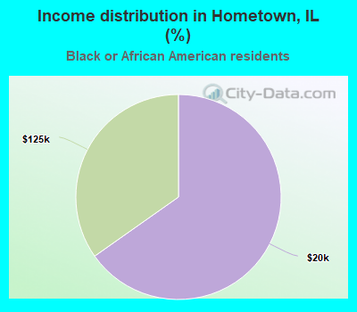 Income distribution in Hometown, IL (%)