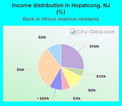Income distribution in Hopatcong, NJ (%)