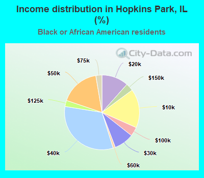 Income distribution in Hopkins Park, IL (%)
