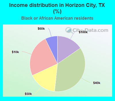 Income distribution in Horizon City, TX (%)