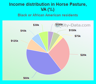 Income distribution in Horse Pasture, VA (%)