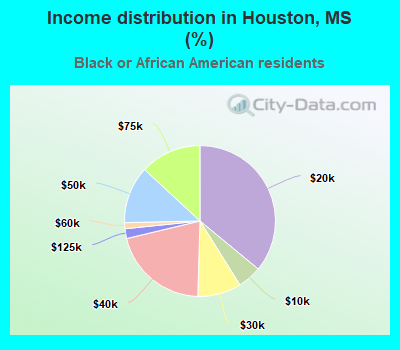 Income distribution in Houston, MS (%)