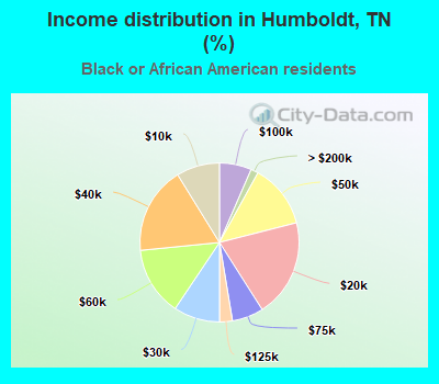 Income distribution in Humboldt, TN (%)