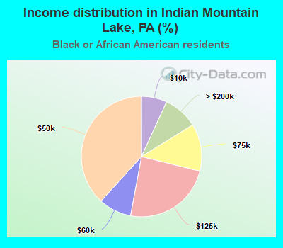 Income distribution in Indian Mountain Lake, PA (%)