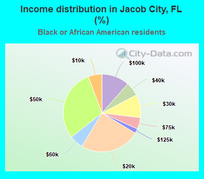 Income distribution in Jacob City, FL (%)