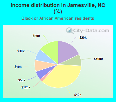 Income distribution in Jamesville, NC (%)