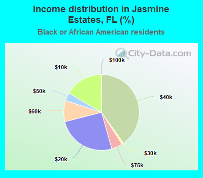 Income distribution in Jasmine Estates, FL (%)