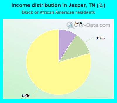 Income distribution in Jasper, TN (%)