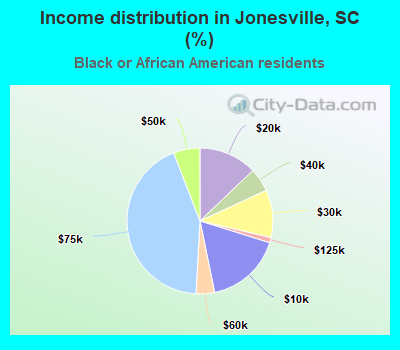 Income distribution in Jonesville, SC (%)