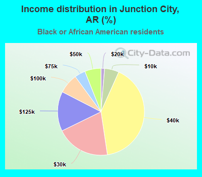 Income distribution in Junction City, AR (%)