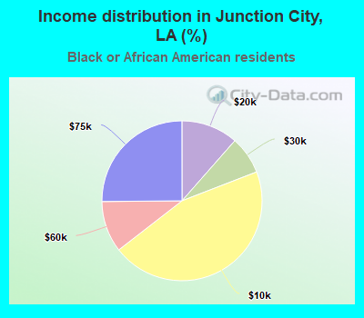 Income distribution in Junction City, LA (%)