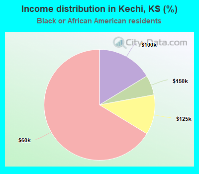 Income distribution in Kechi, KS (%)