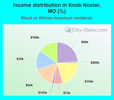 Income distribution in Knob Noster, MO (%)