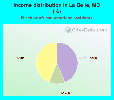 Income distribution in La Belle, MO (%)