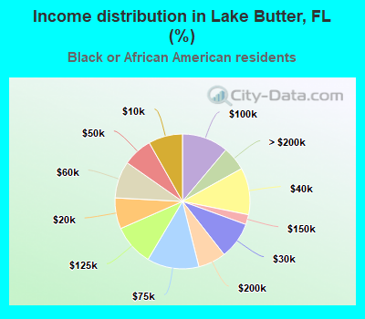 Income distribution in Lake Butter, FL (%)
