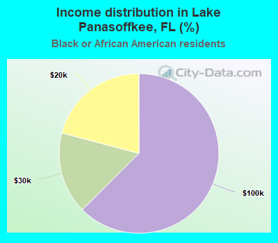 Income distribution in Lake Panasoffkee, FL (%)