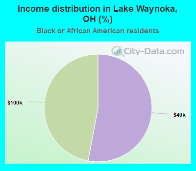 Income distribution in Lake Waynoka, OH (%)