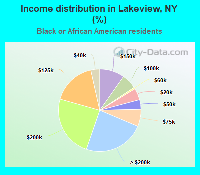 Income distribution in Lakeview, NY (%)