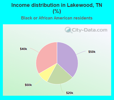 Income distribution in Lakewood, TN (%)