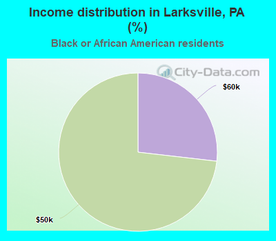 Income distribution in Larksville, PA (%)