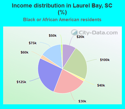 Income distribution in Laurel Bay, SC (%)