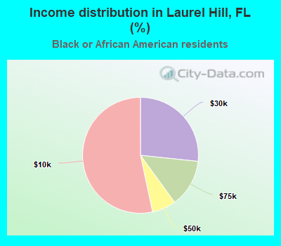 Income distribution in Laurel Hill, FL (%)