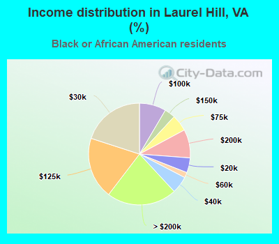 Income distribution in Laurel Hill, VA (%)