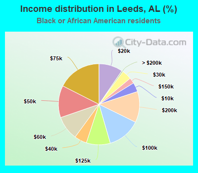 Income distribution in Leeds, AL (%)