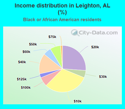 Income distribution in Leighton, AL (%)