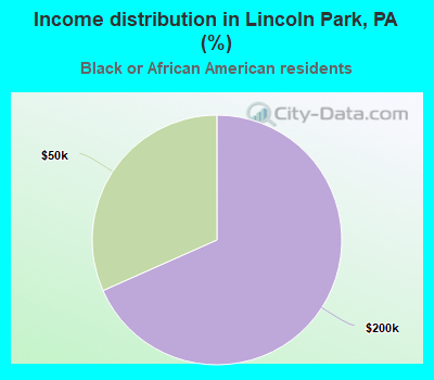 Income distribution in Lincoln Park, PA (%)