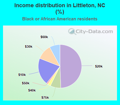 Income distribution in Littleton, NC (%)