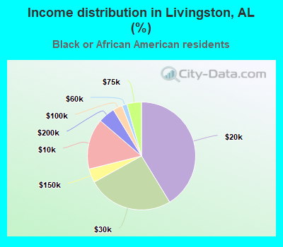Income distribution in Livingston, AL (%)