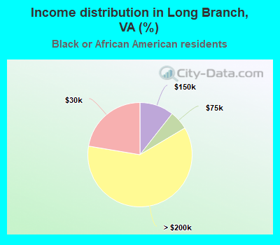 Income distribution in Long Branch, VA (%)