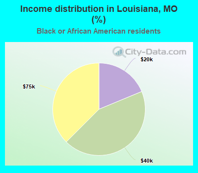 Income distribution in Louisiana, MO (%)