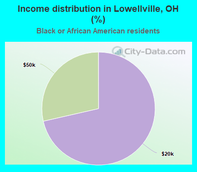 Income distribution in Lowellville, OH (%)