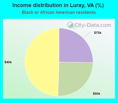 Income distribution in Luray, VA (%)
