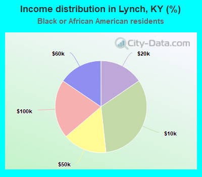 Income distribution in Lynch, KY (%)