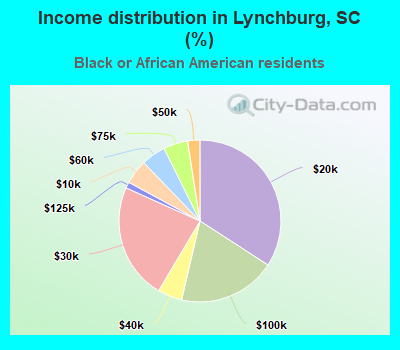 Income distribution in Lynchburg, SC (%)