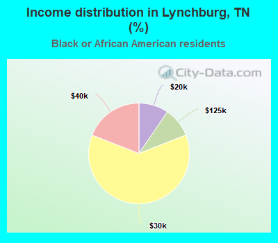 Income distribution in Lynchburg, TN (%)