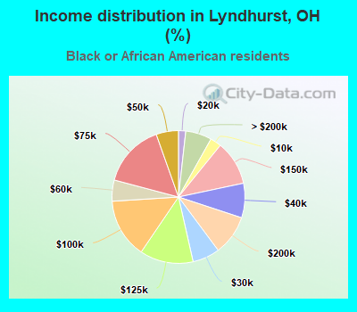 Income distribution in Lyndhurst, OH (%)